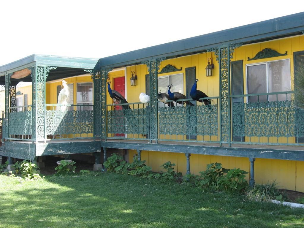 Shady Lady Bed And Breakfast Scottys Junction Εξωτερικό φωτογραφία